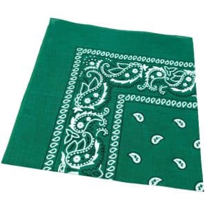 Green Paisley Bandana