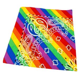 Rainbow Striped Paisley Bandana