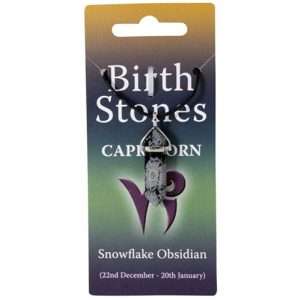 Birthstone Necklace - Capricorn