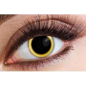 Eclipse 1 Day Contact Lenses