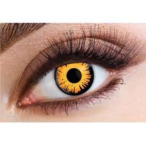 Bella 1 Day Contact Lenses