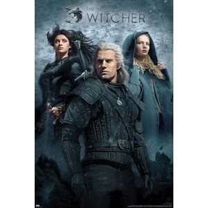 The Witcher Maxi Poster FP4981