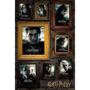 Harry Potter Portrait Maxi Poster FP4995