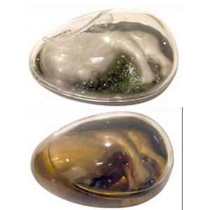 Alien in Slime Egg