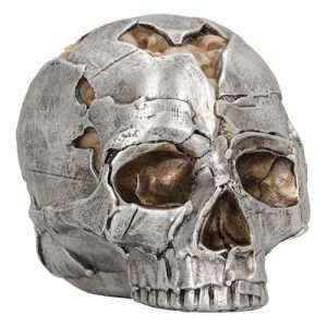 Fracture Large Skull