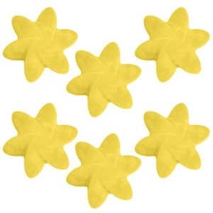 Mango Fruit Natural Soy Wax Melts x 6