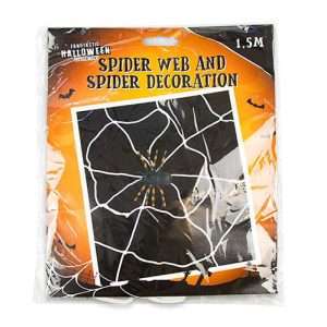 Spider Web And Spider Decoration