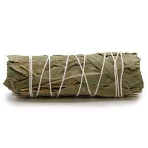 White Sage & Eucalyptus 10cm Smudge Stick